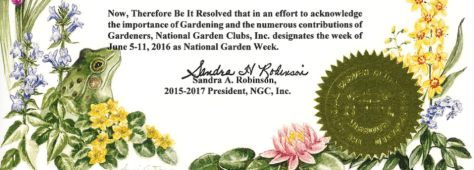 Screen Shot 2016-05-13 at 10.33.52