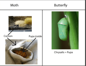 Screen Shot 2018-08-15 at 9.11.38 PM.png