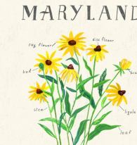 il_570xN.1223764352_r112