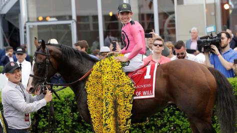 War-of-Will-Preakness-win