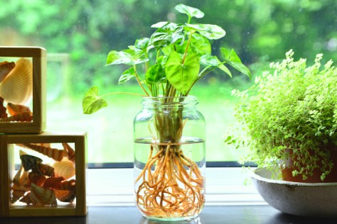 6a0147e1d4f40f970b0223c84e8276200c